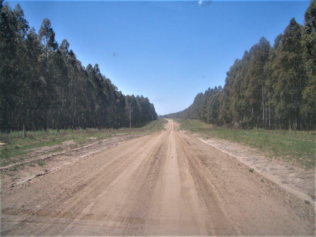 Hiekkatie
