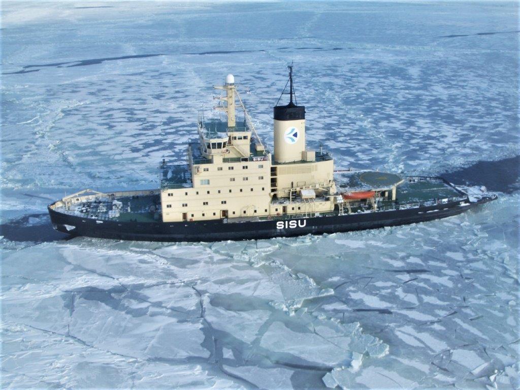 Sisu